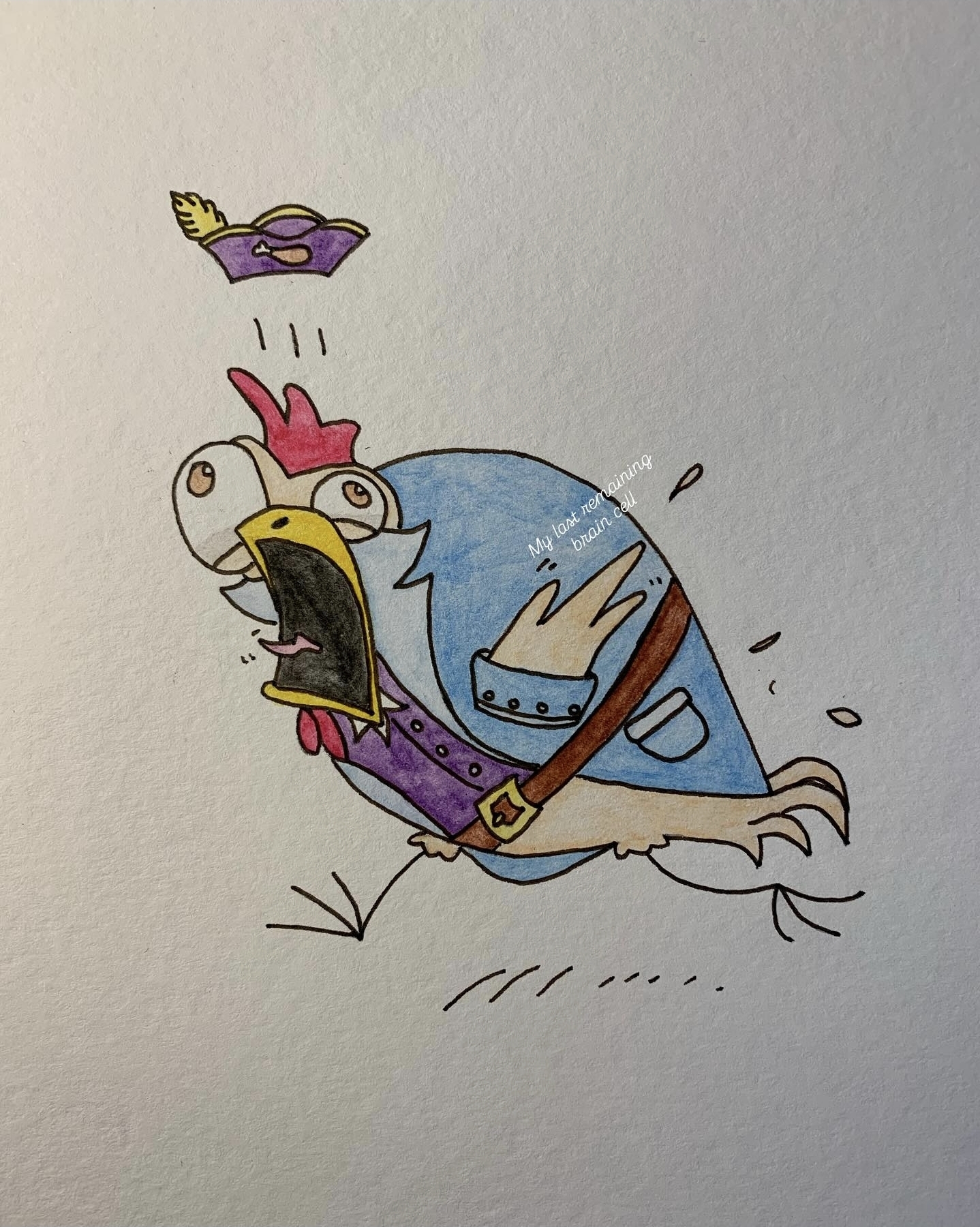 The Pirate Chicken Cover